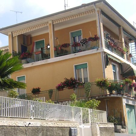 Narciso - Sanremo Apartments エクステリア 写真
